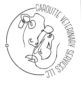 Garoutte Veterinary Services in Adel IA | Dr. Callie Garoutte