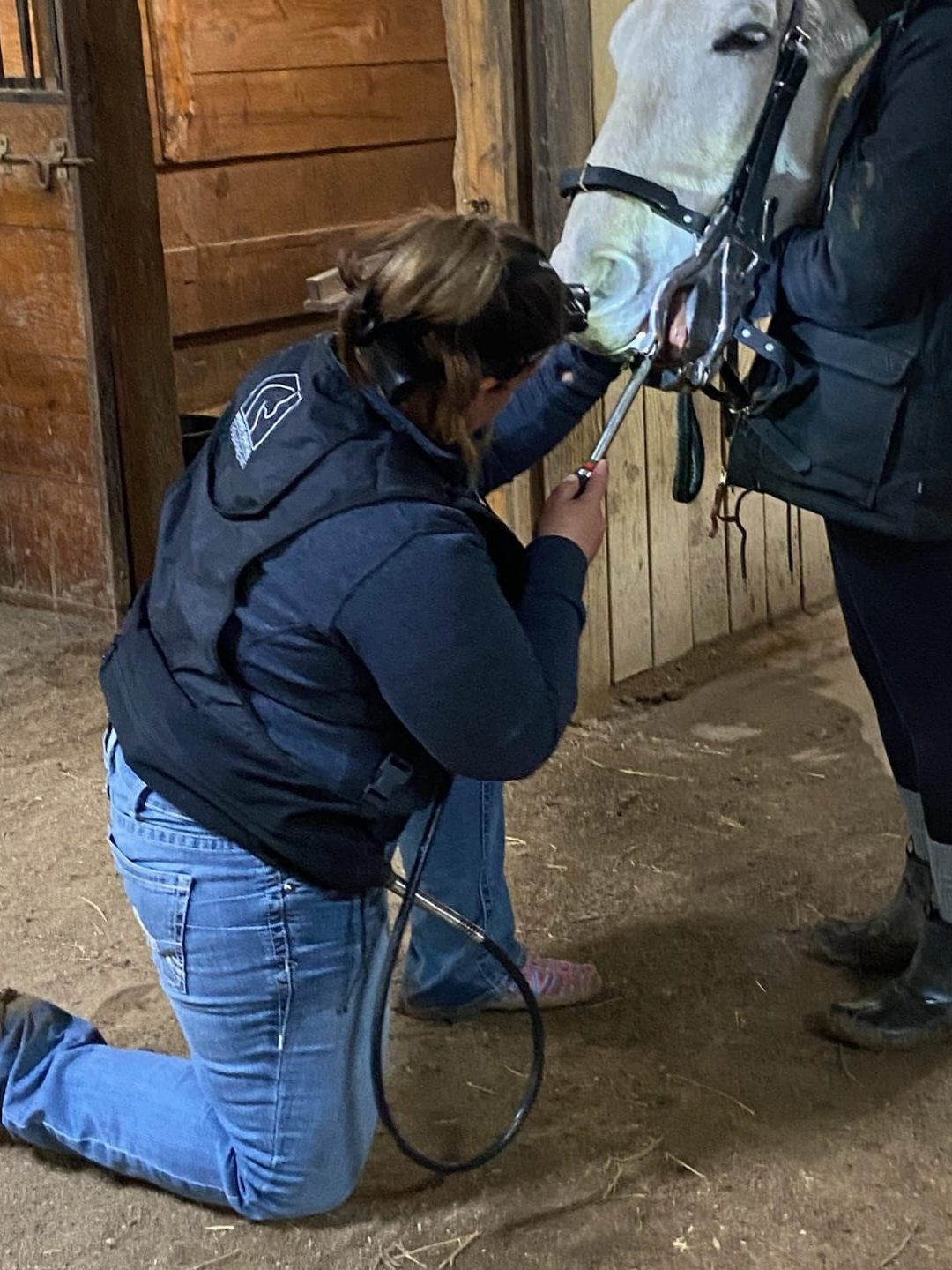 Garoutte Vet Services Dental